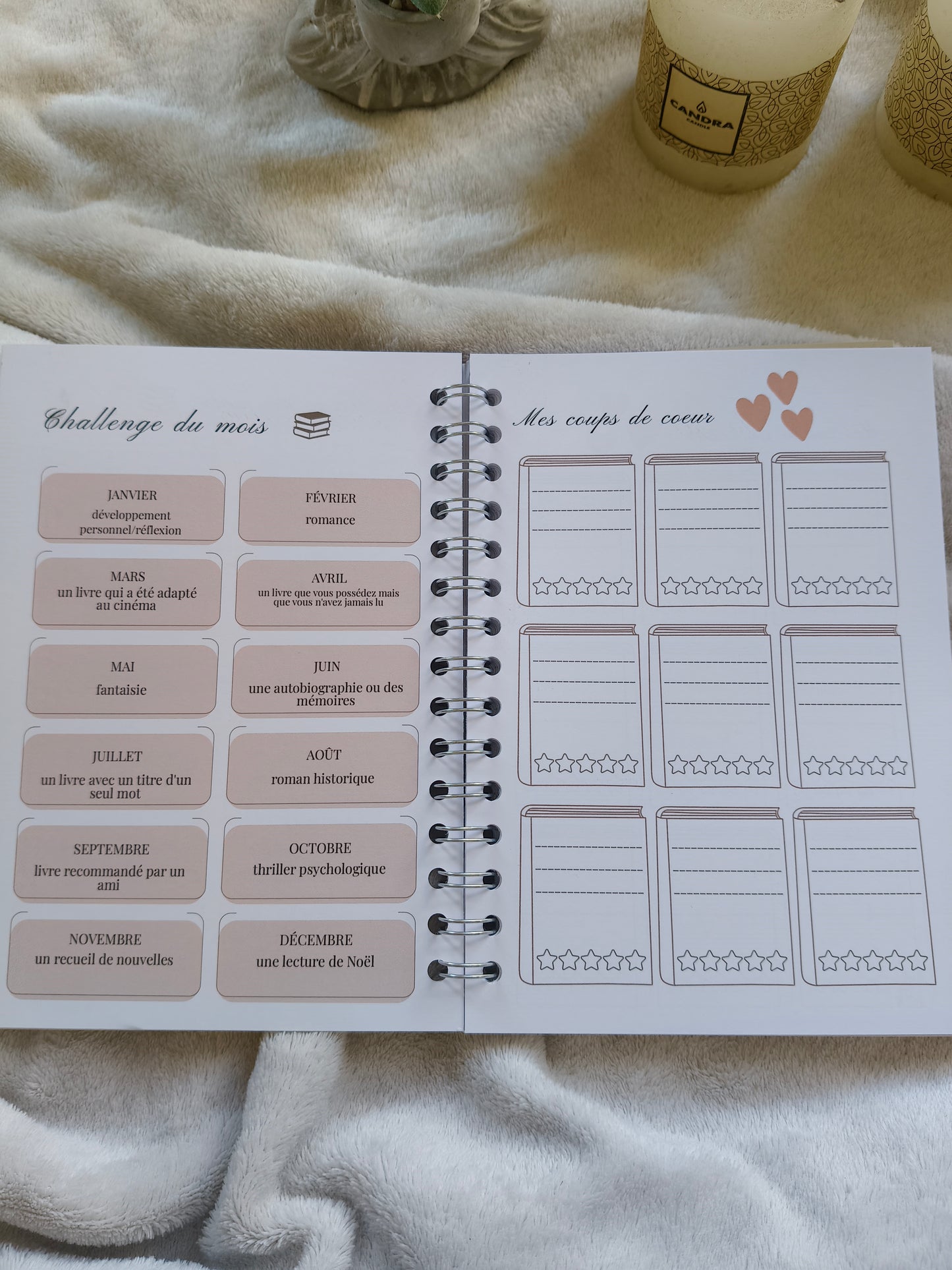 READING JOURNAL — RENAISSANCE