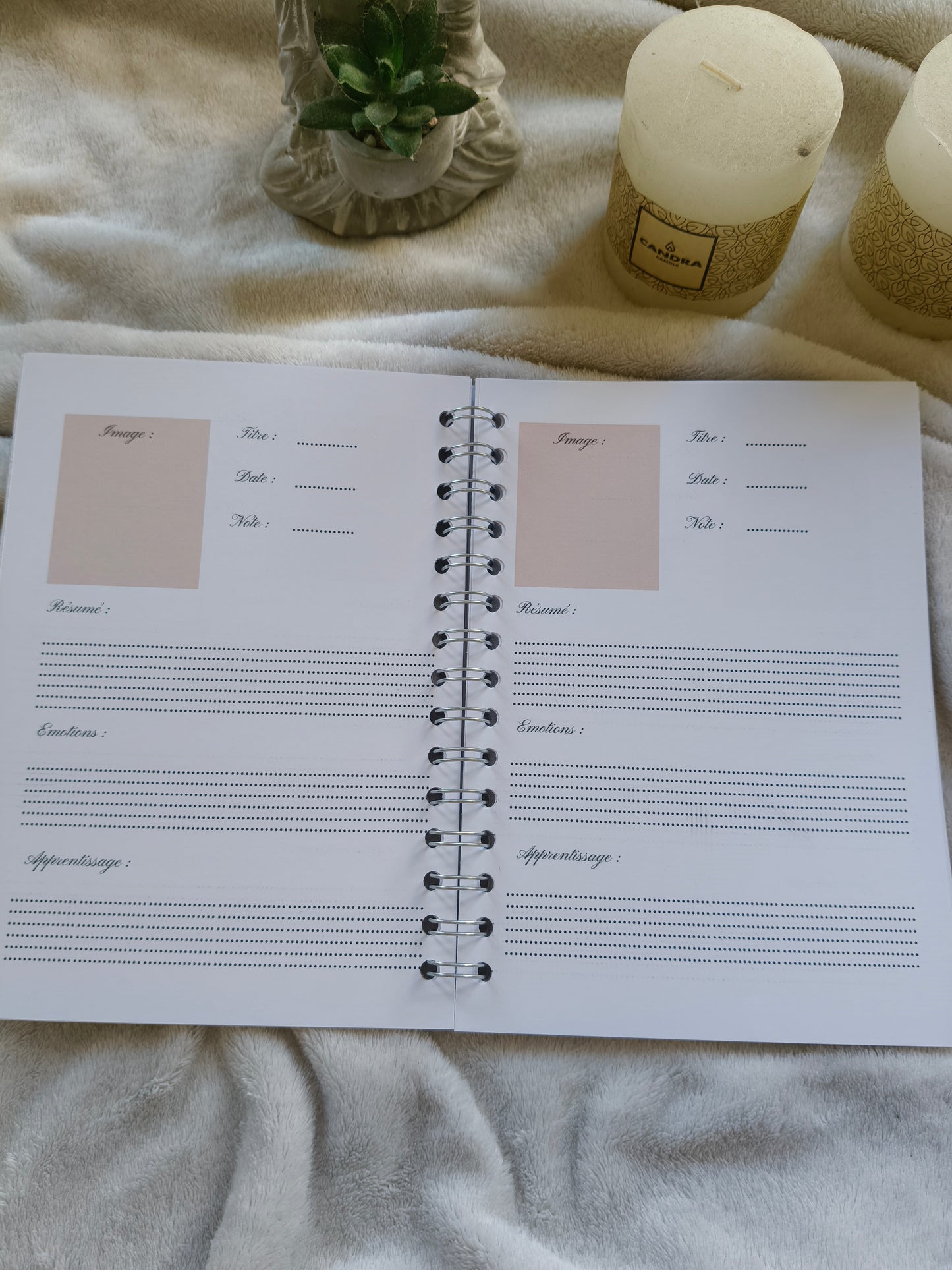 READING JOURNAL — RENAISSANCE