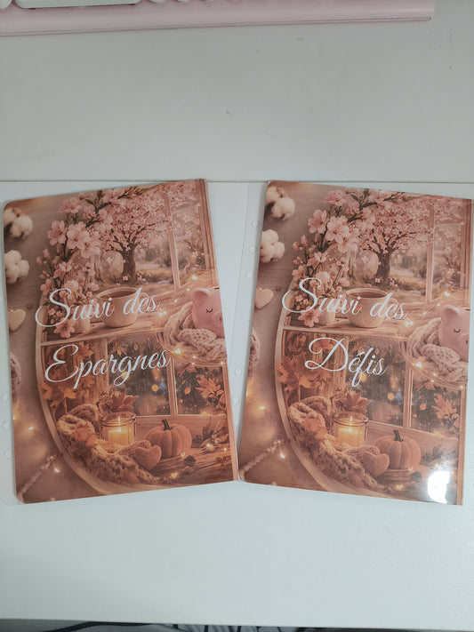 Suivi des Épargnes & Défis — Tracker Annuel