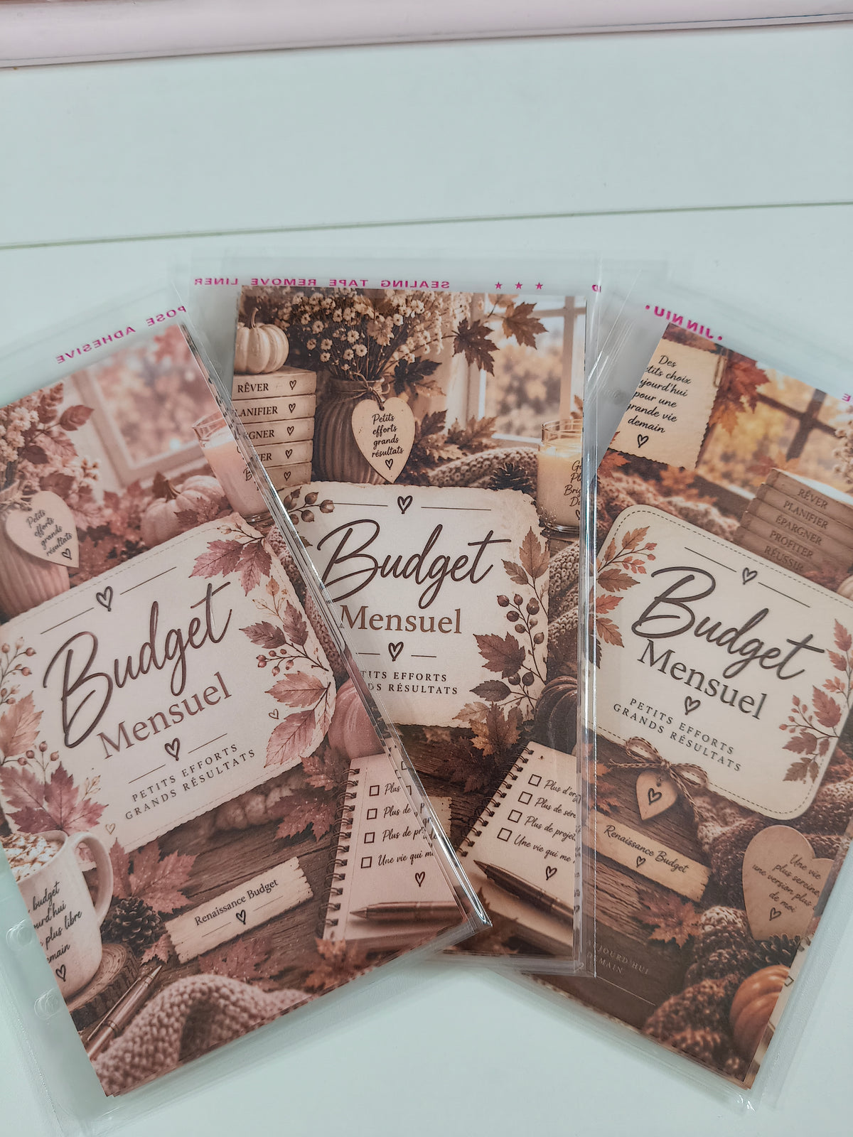 🍂 Budget Mensuel – Collection Automne | Renaissance Budget